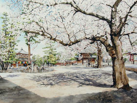 Miyajima no Sakura